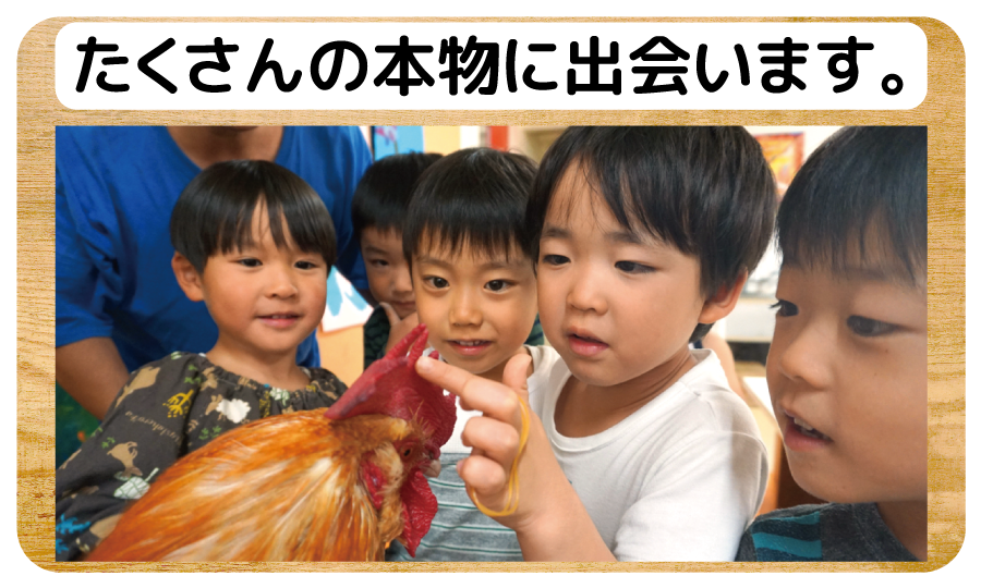 本物を体感することを大切に